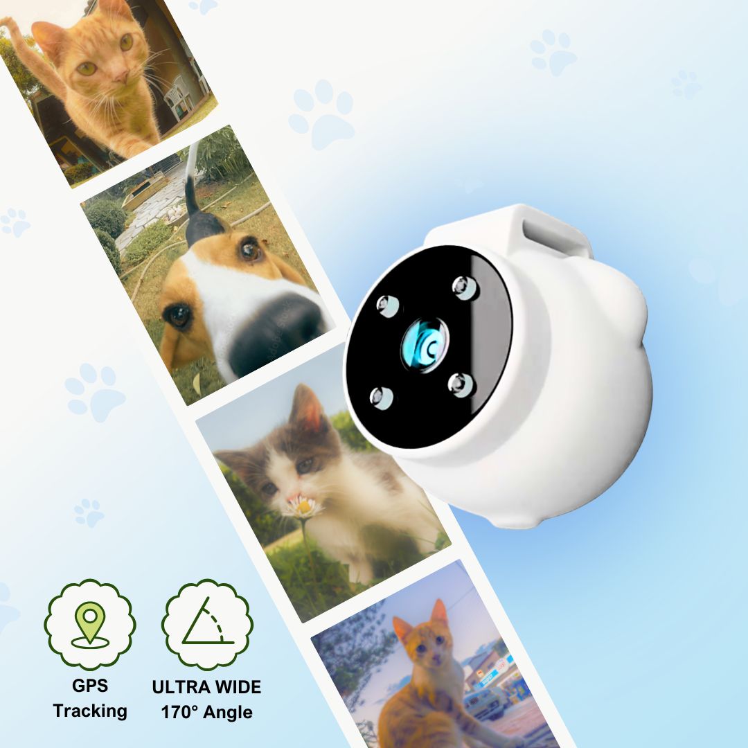 Viewy: PupCam Pro