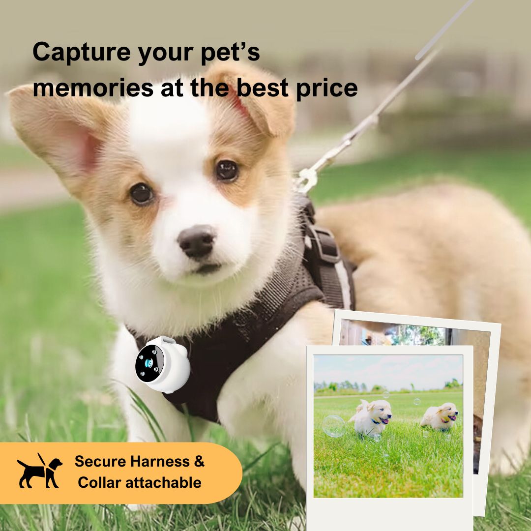 cat collar camera videos, cat collar camera gps, pet collar camera, dog collar camera, cat collar camera gps videos